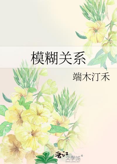 模糊关系封面
