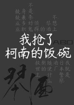 在名侦探中身兼五职封面