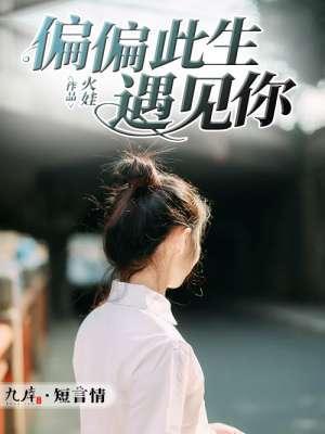 偏偏此生遇见你封面