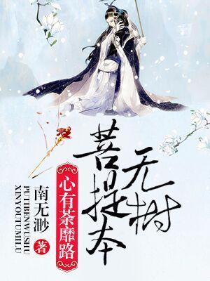 菩提本无树，心有荼蘼路封面