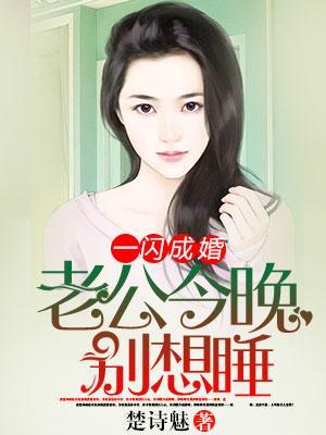 一闪成婚：老公今晚别想睡封面