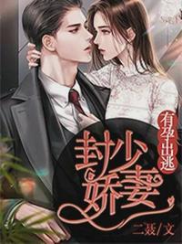 唐柒柒和封晏封面