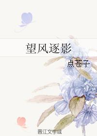 望风逐影封面