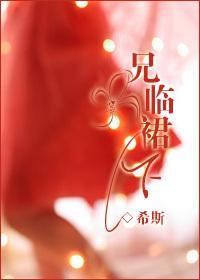 兄临裙下封面