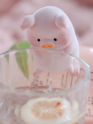 养猪千日封面