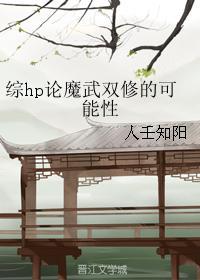 综hp论魔武双修的可能性封面