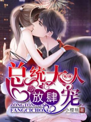 总统大人，放肆宠封面
