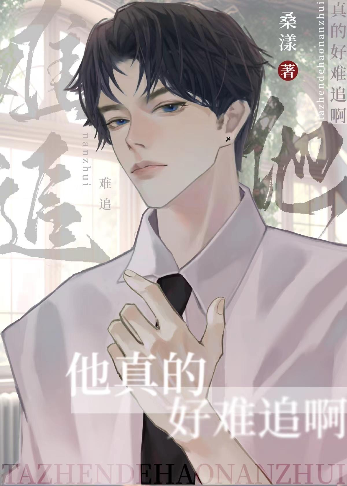 他真的好难追啊封面
