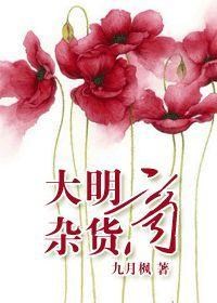 大明杂货商封面