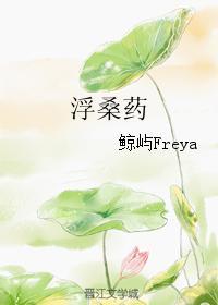 浮桑药封面