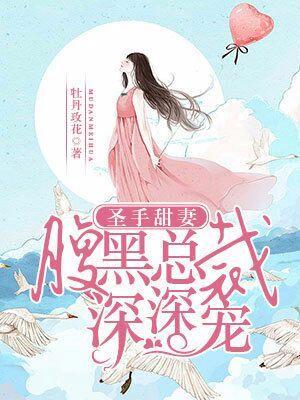 圣手甜妻：腹黑总裁深深宠封面