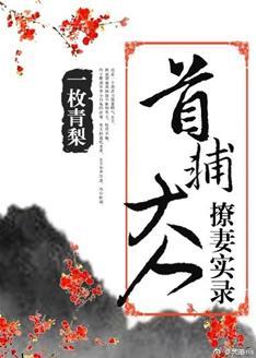 首辅大人撩妻实录封面