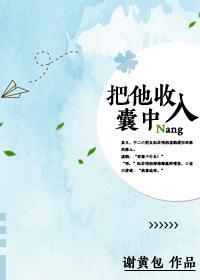 把他收入囊中封面