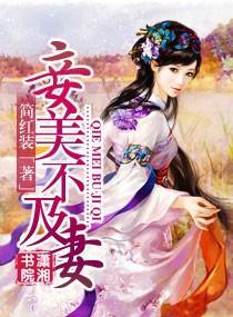 妾美不及妻封面