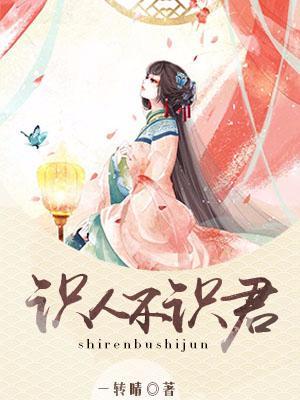 识人不识君封面