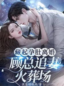 藏起孕肚离婚，顾总追妻火葬场封面