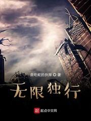 无限独行之王txt封面