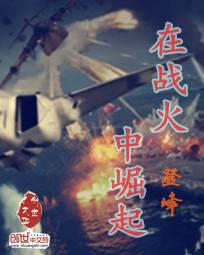 在战火中崛起封面