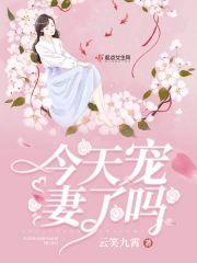 今天宠妻了吗封面