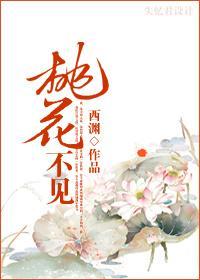 桃花不见封面