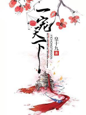 一宠天下封面