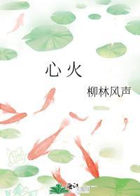 心火封面
