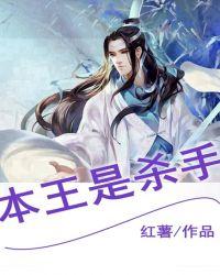 本王是杀手封面