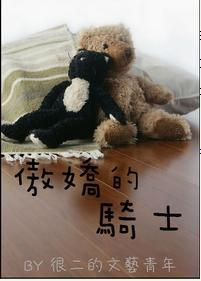 傲娇的骑士封面