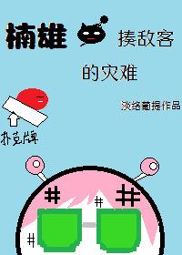 楠雄·揍敌客的灾难封面