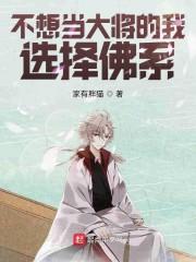 海贼顶上战争：我将立于天上封面