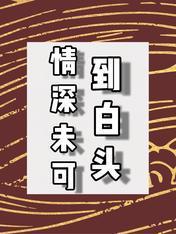 情深未可到白头封面