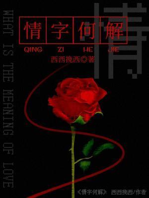 情字何解封面