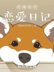 柠檬味的恋爱日记封面