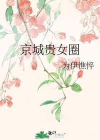 京城贵女圈封面
