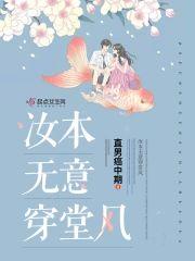 汝本无意穿堂风封面
