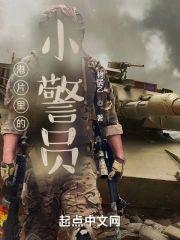 港片裏的小警员封面