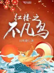 红楼之不凡鸟封面
