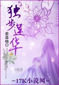 独步莲华封面