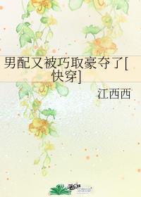 男配又被巧取豪夺了[快穿]封面