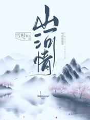 山河情封面