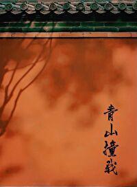 青山撞我封面