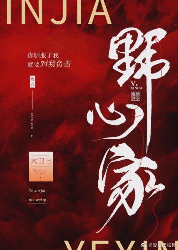 野心家封面