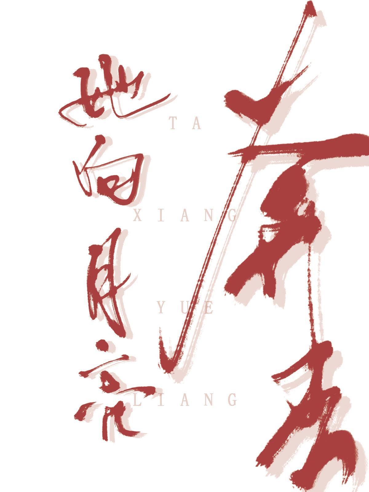 她向月亮奔去封面