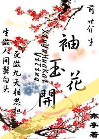 前世今生袖玉花开封面