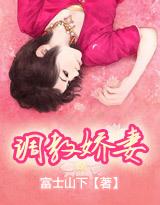 调教娇妻封面