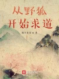 从野狐开始求道封面
