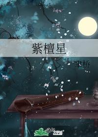 紫檀星封面