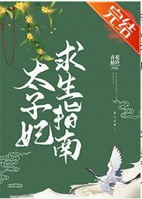 太子妃求生指南封面