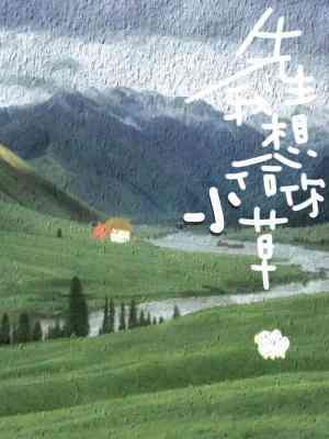 先生，我想给你小草封面