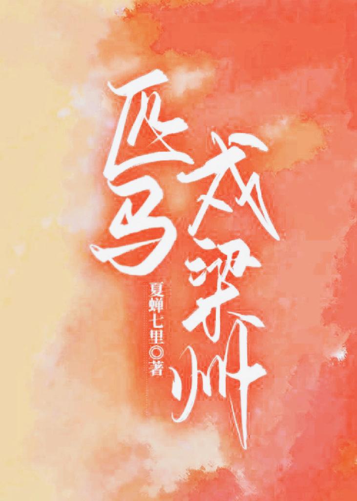 匹马戍梁州封面